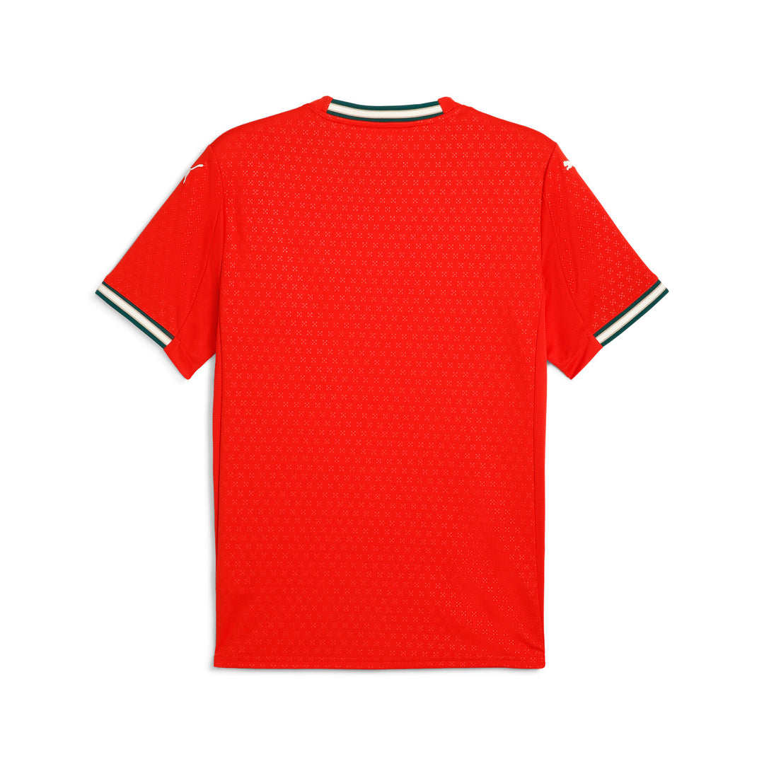 Portugal Home Jersey Replica