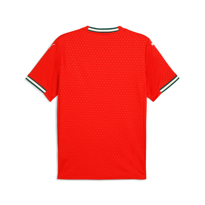 Portugal Home Jersey Replica