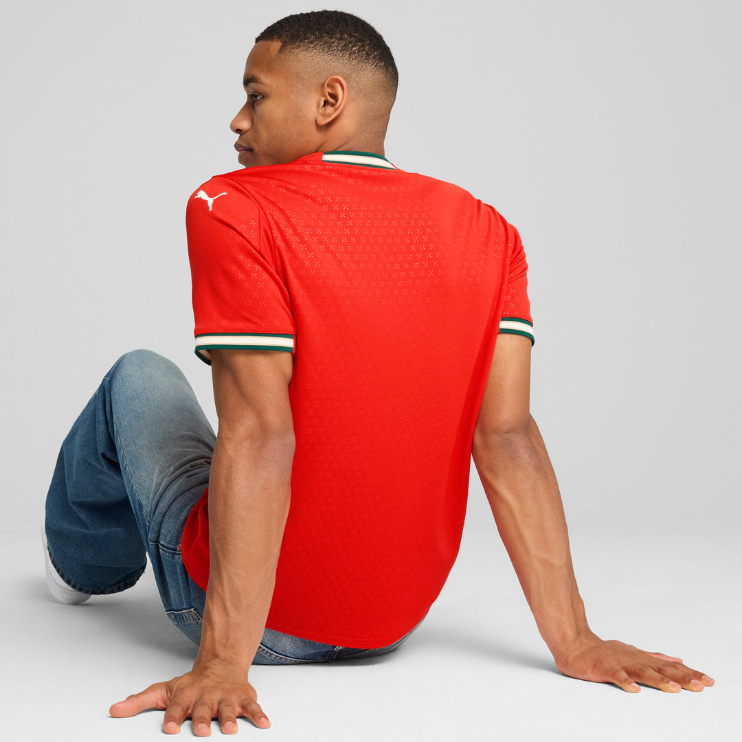 Portugal Home Jersey Replica